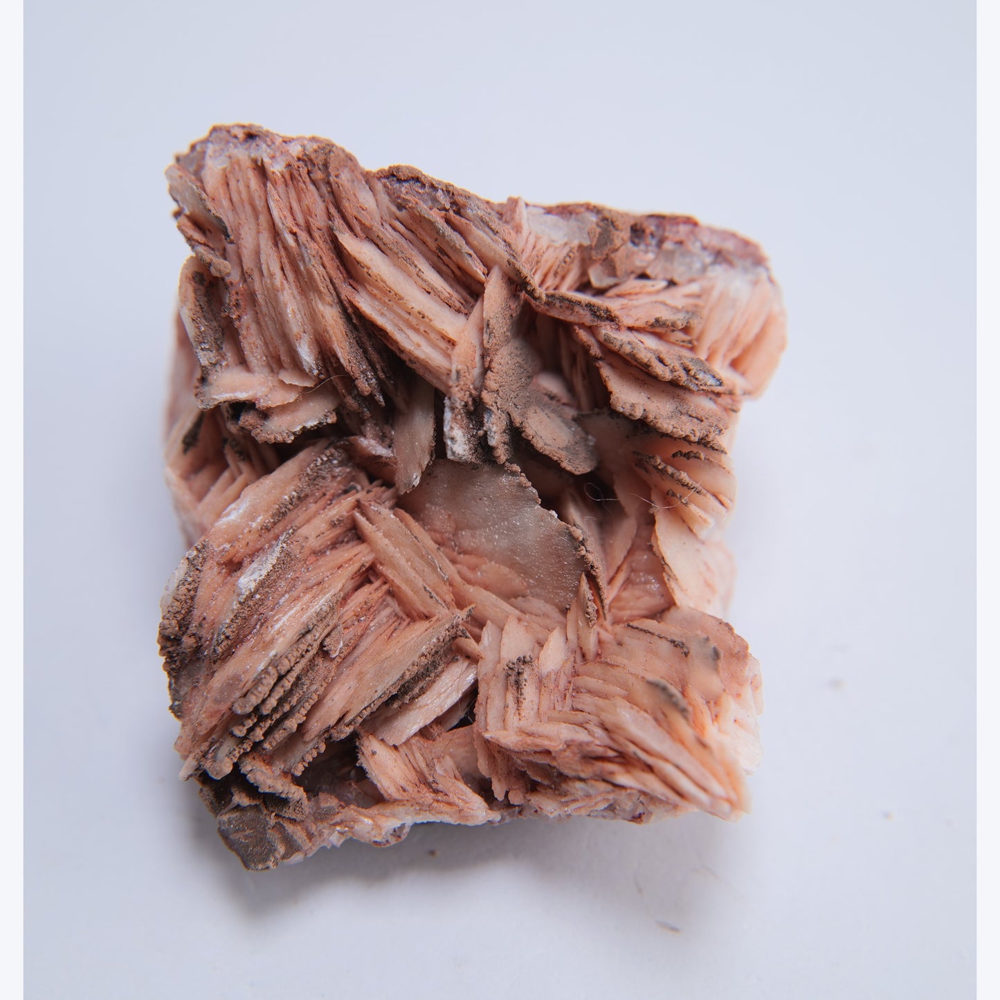 Baryte from Petit Tor Point (Babbacombe), Torquay, UK - 223g