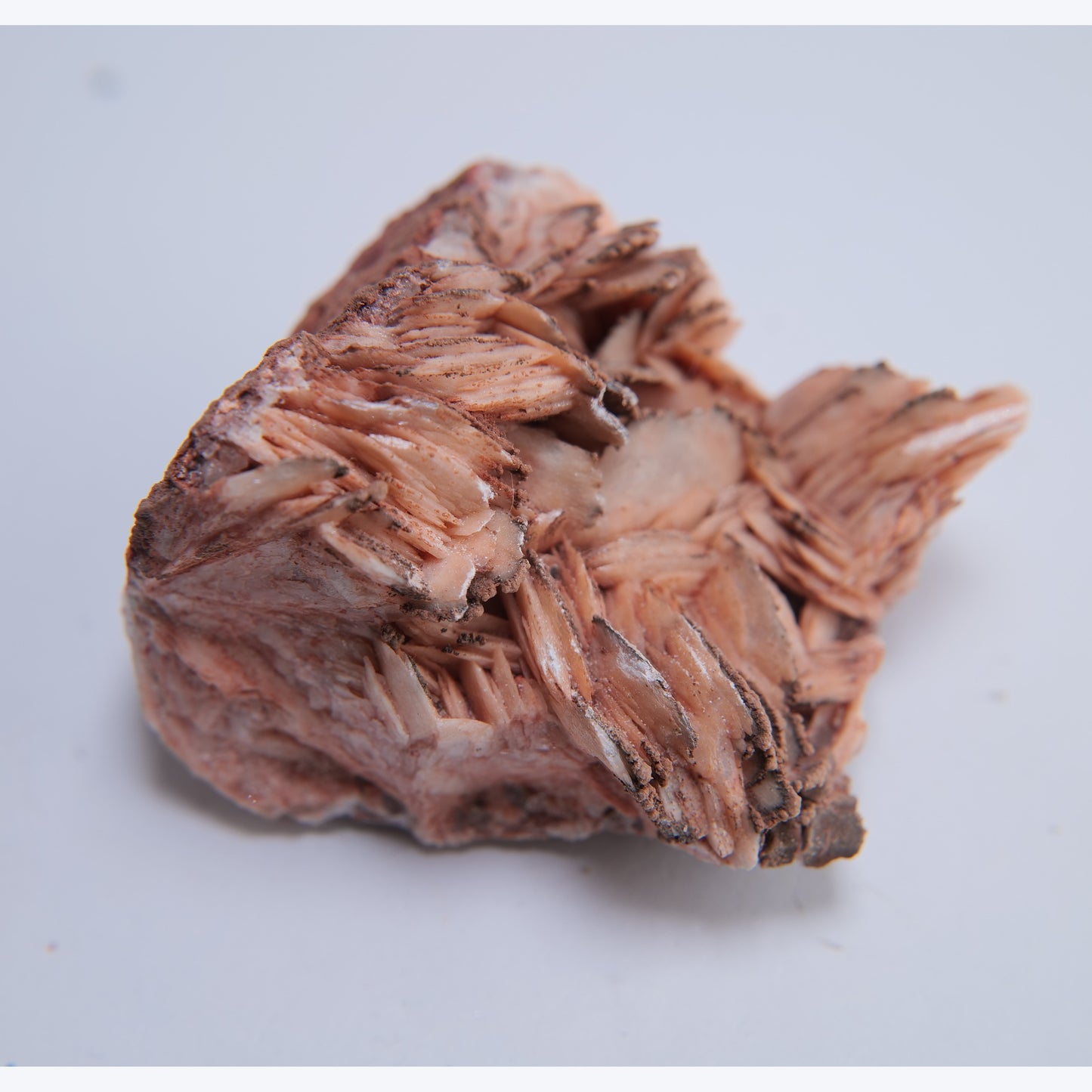 Baryte from Petit Tor Point (Babbacombe), Torquay, UK - 223g