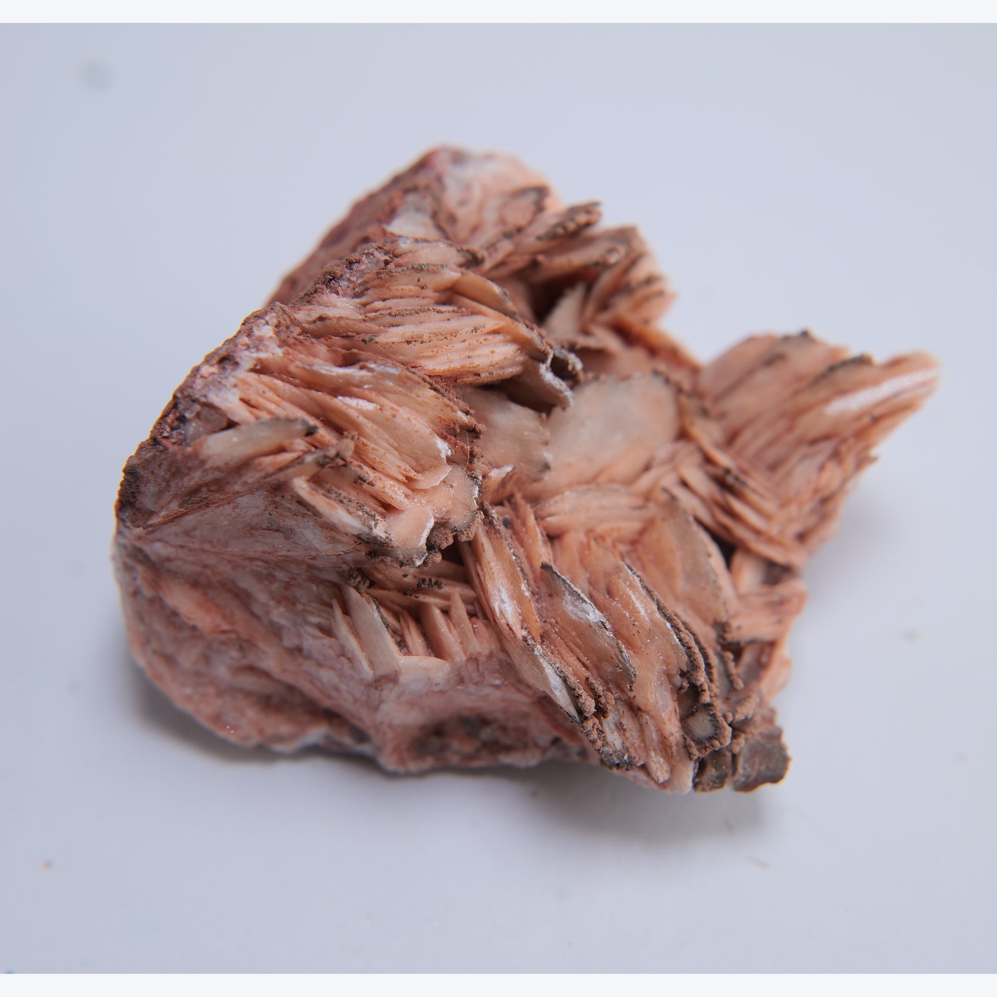 Baryte from Petit Tor Point (Babbacombe), Torquay, UK - 223g