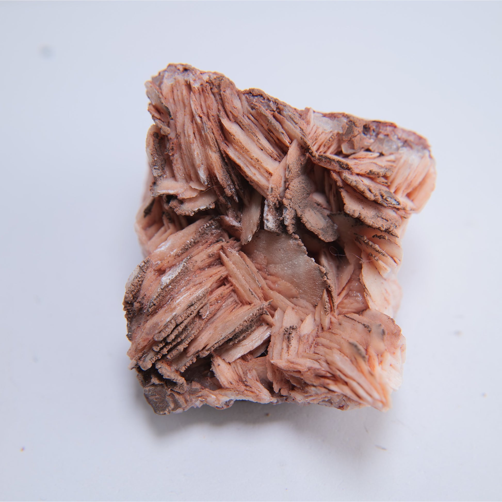 Baryte from Petit Tor Point (Babbacombe), Torquay, UK - 223g