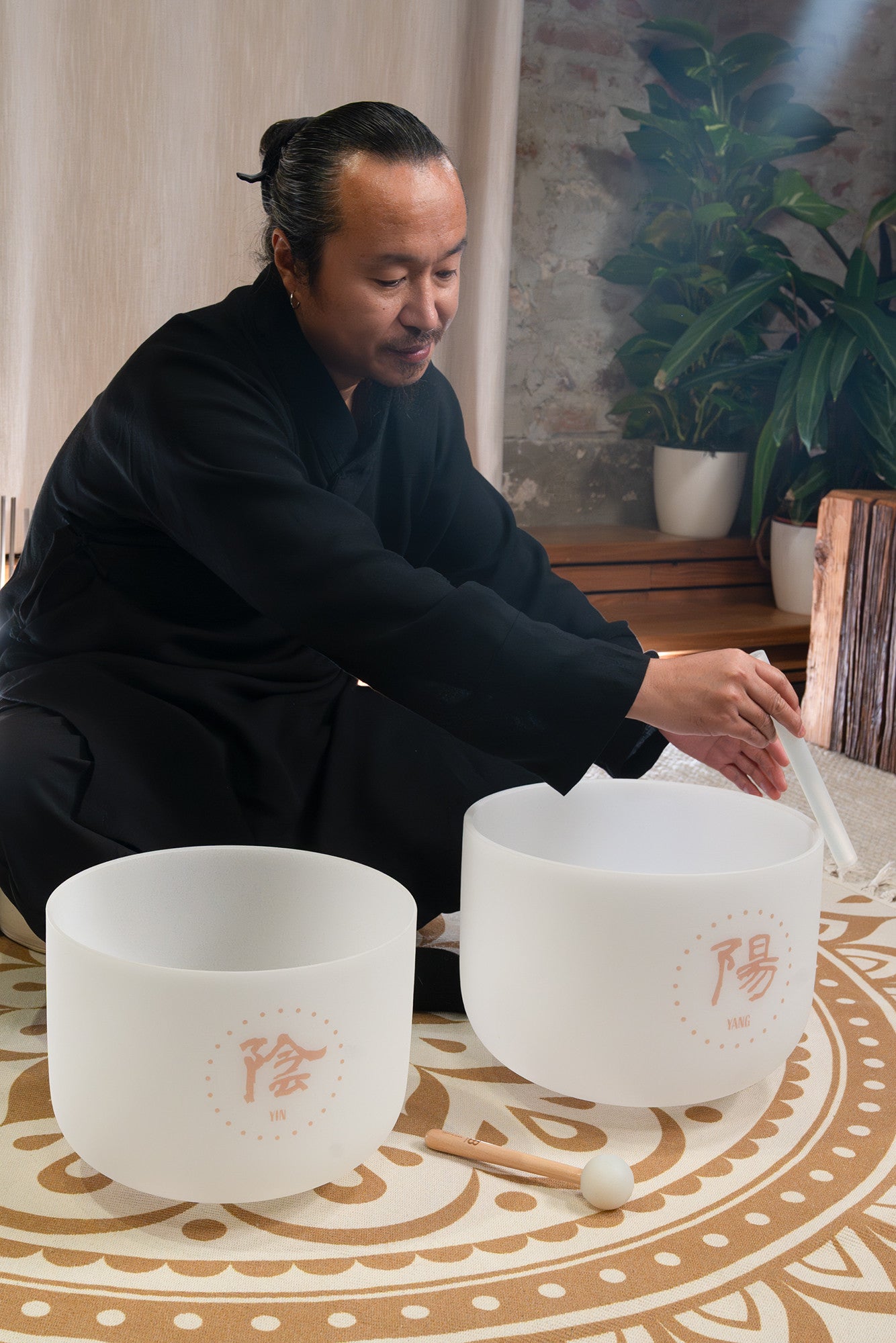 MEINL Sonic Energy 2-piece TCM Crystal Singing Bowl Yin & Yang Set detail view 5 at Luna Panther