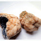 Black Druzy Quartz & Agate Geode Pair - 316g - Luna Panther