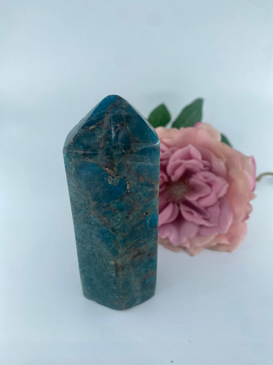 Polished Blue Apatite polished Tower 303grams featuring teal-blue tone and crystalline depth - Luna Panther