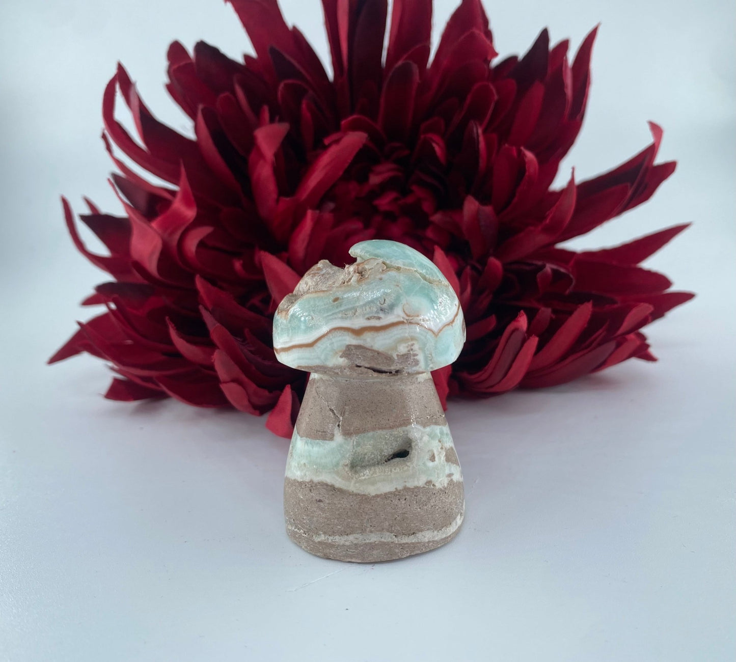 Polished Blue Aragonite Mushroom featuring pale aqua tone with silky texture - Luna Panther