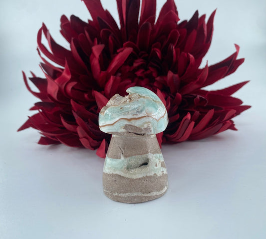 Polished Blue Aragonite Mushroom featuring pale aqua tone with silky texture - Luna Panther