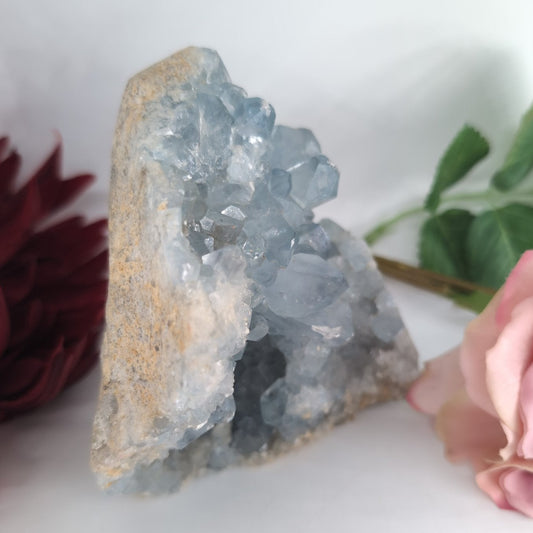 Natural Blue Celestite Specimen 539G featuring pale sky-blue tone and soft translucence - Luna Panther alternate view