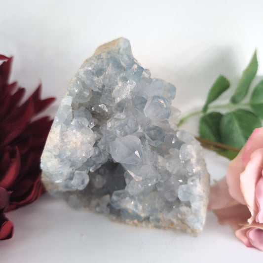 Natural Blue Celestite Specimen 539g featuring pale sky-blue tone and soft translucence - Luna Panther
