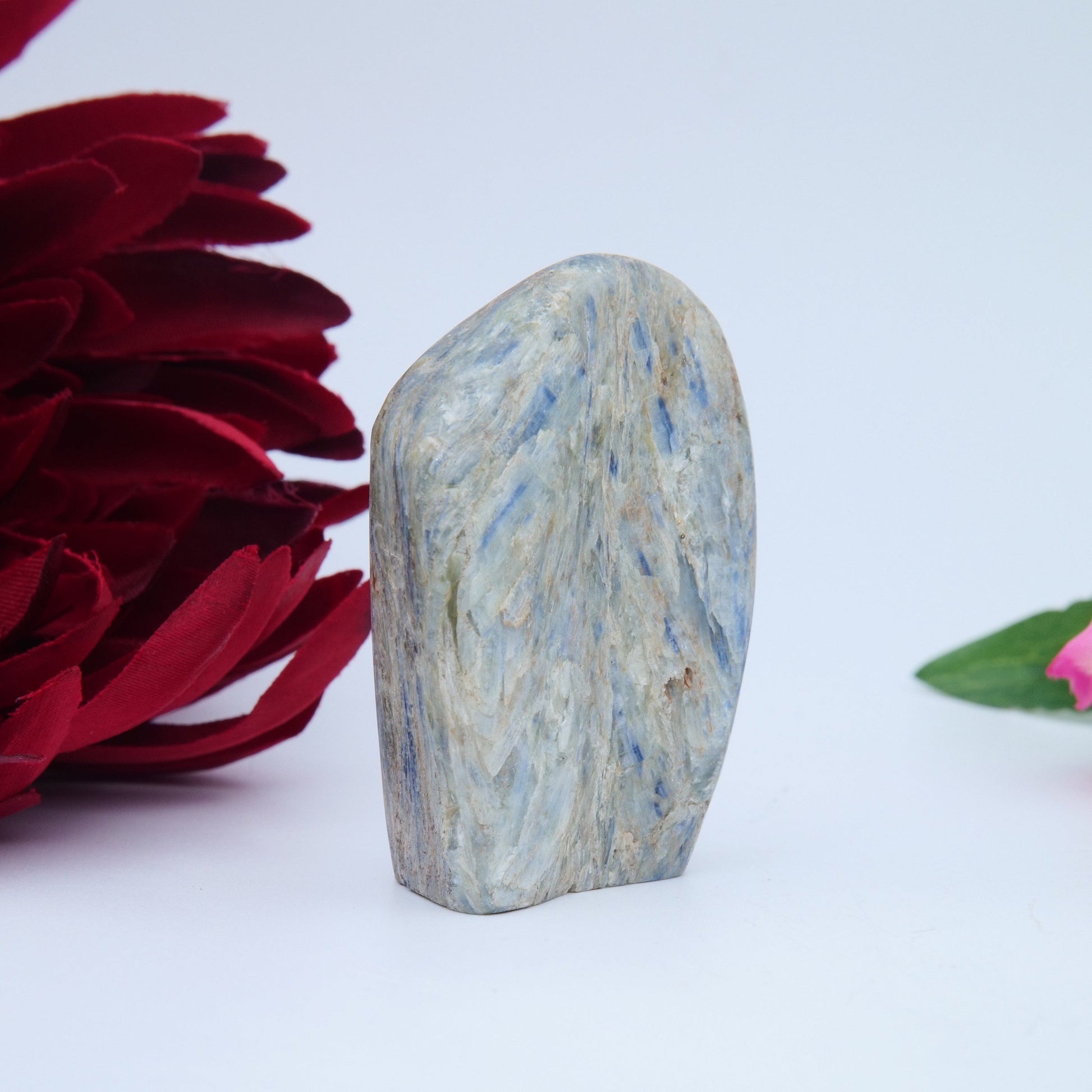 Blue Kyanite Freeform — 100 g (60 mm) - Luna Panther