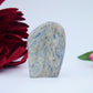 Blue Kyanite Freeform — 100 g (60 mm) - Luna Panther