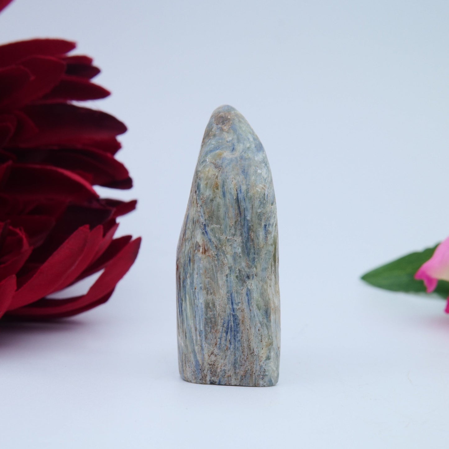 Blue Kyanite Freeform — 100 g (60 mm) - Luna Panther