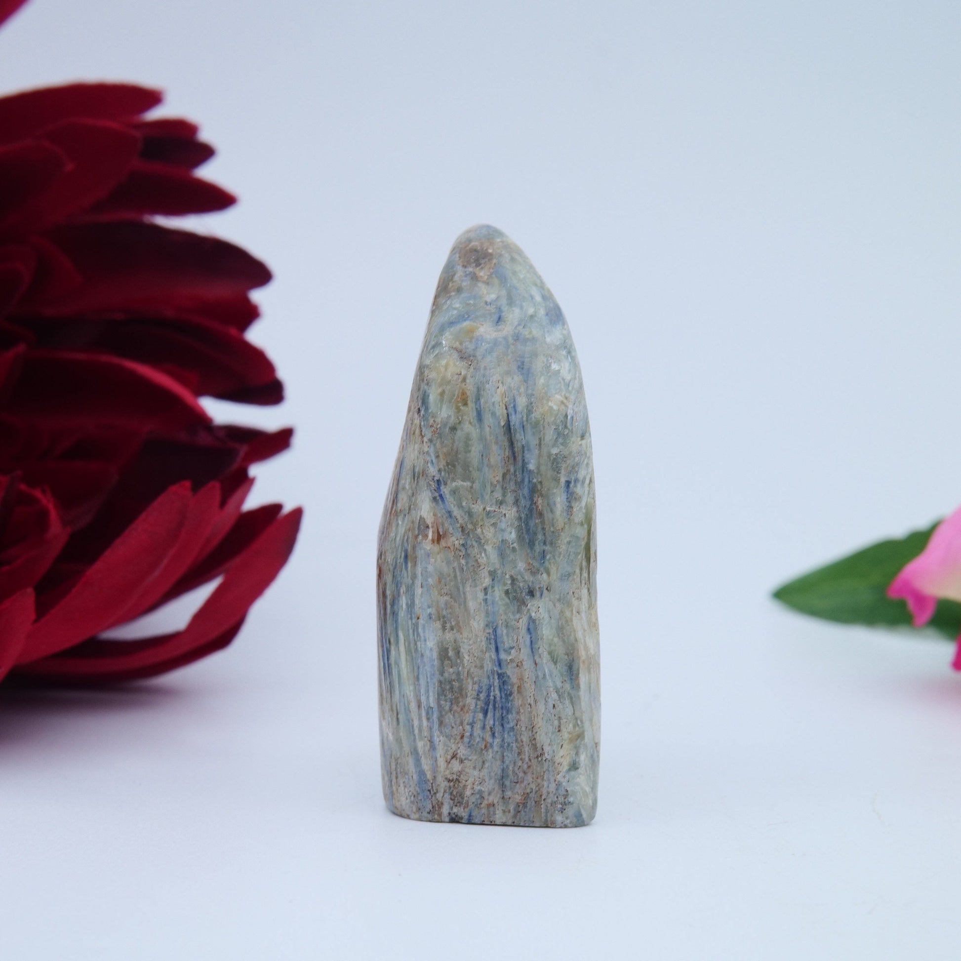 Blue Kyanite Freeform — 100 g (60 mm) - Luna Panther