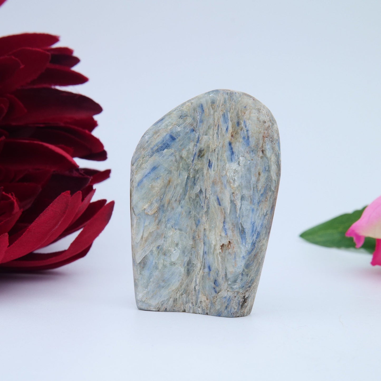 Blue Kyanite Freeform — 100 g (60 mm) - Luna Panther