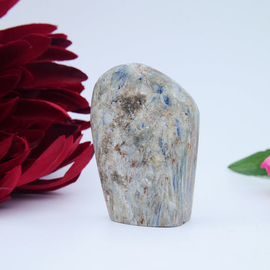 Blue Kyanite Freeform — 100 g (60 mm) - Luna Panther alternate view