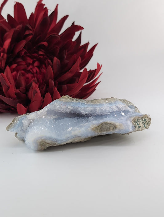 Natural Blue Lace Agate Geode Specimen 320g featuring pale blue banding and soft translucence - Luna Panther