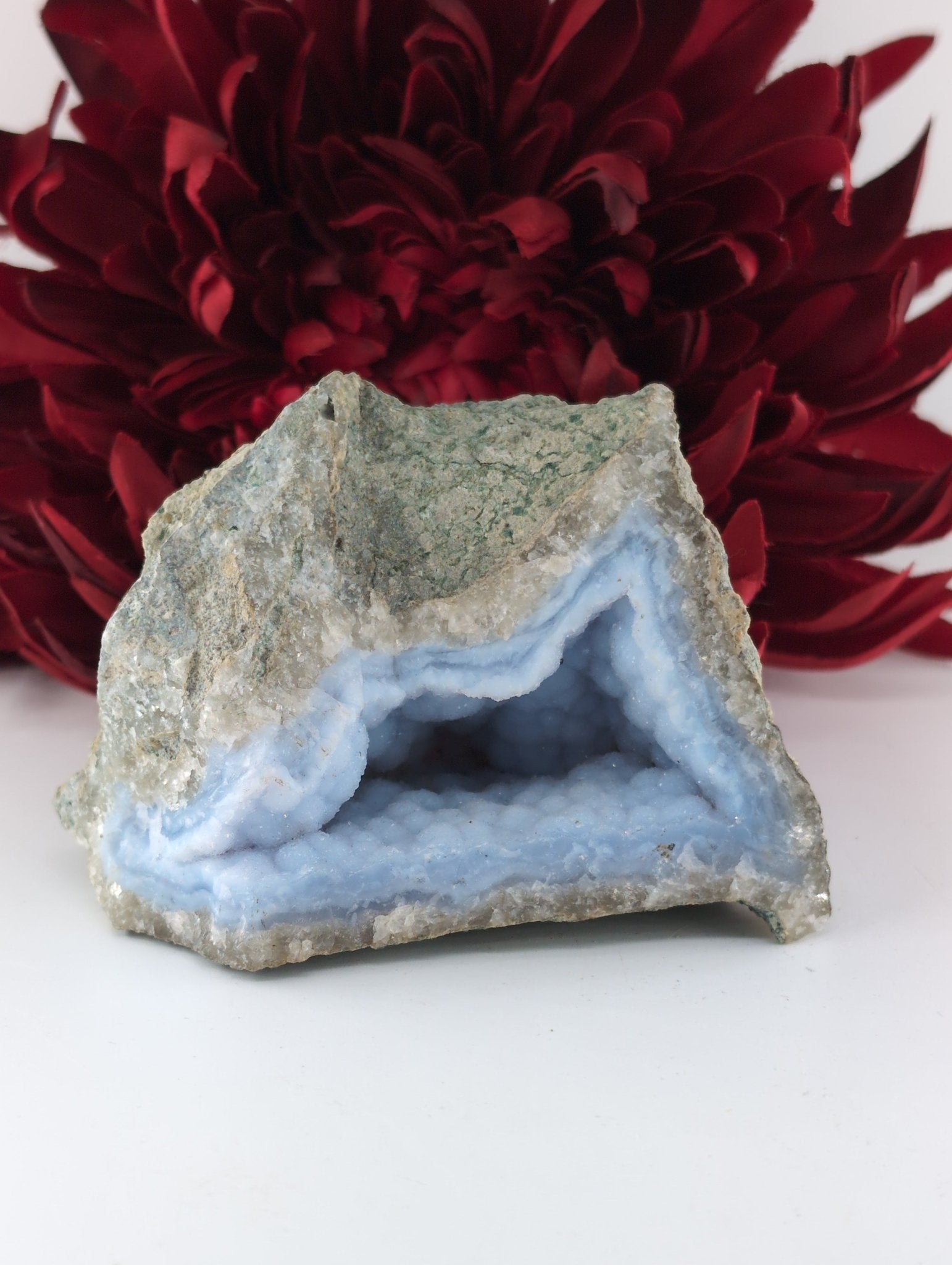 Natural Blue Lace Agate Geode Specimen 344g featuring pale blue banding and soft translucence - Luna Panther