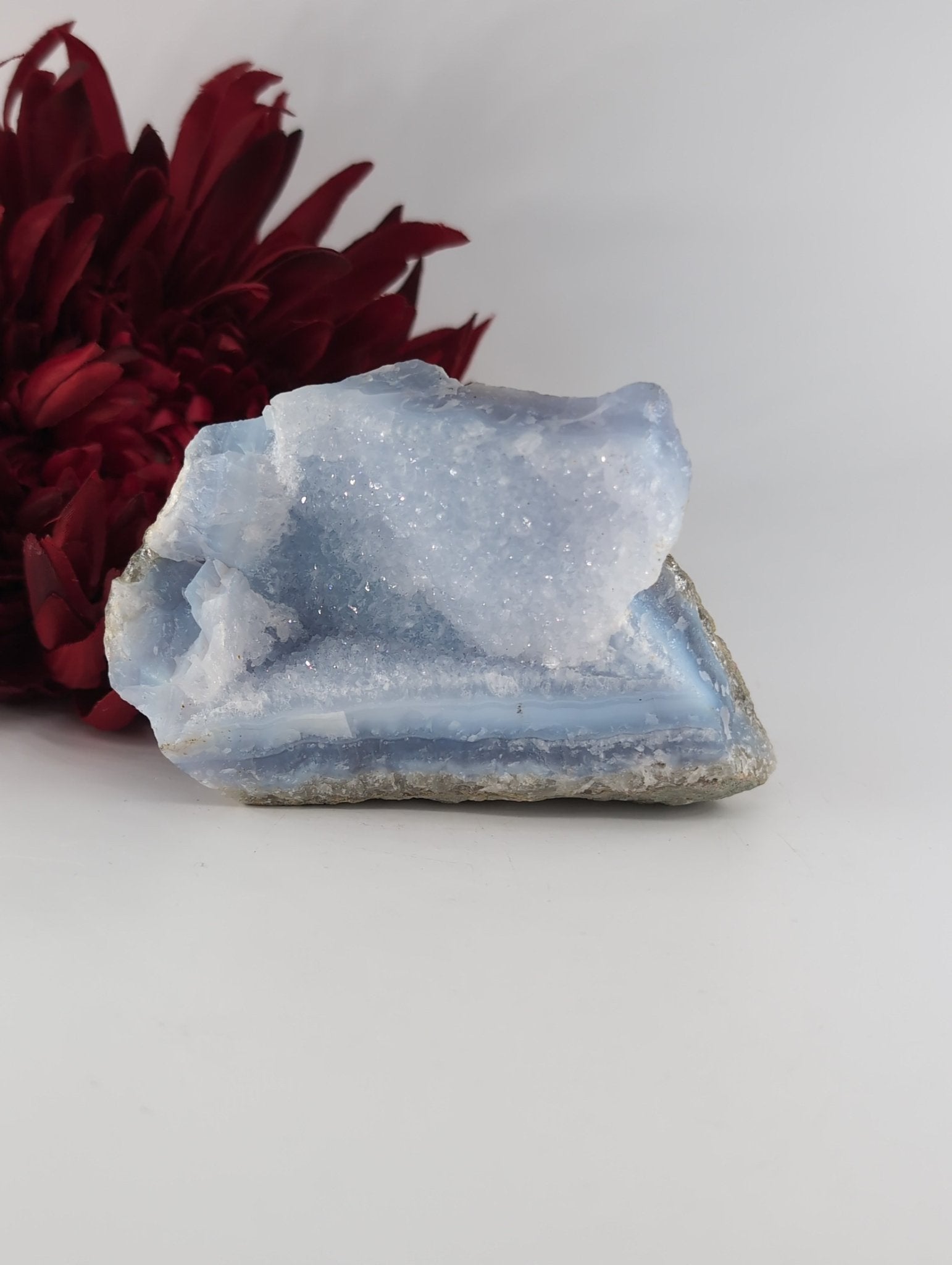 Natural Blue Lace Agate Geode Specimen 439g featuring pale blue banding and soft translucence - Luna Panther