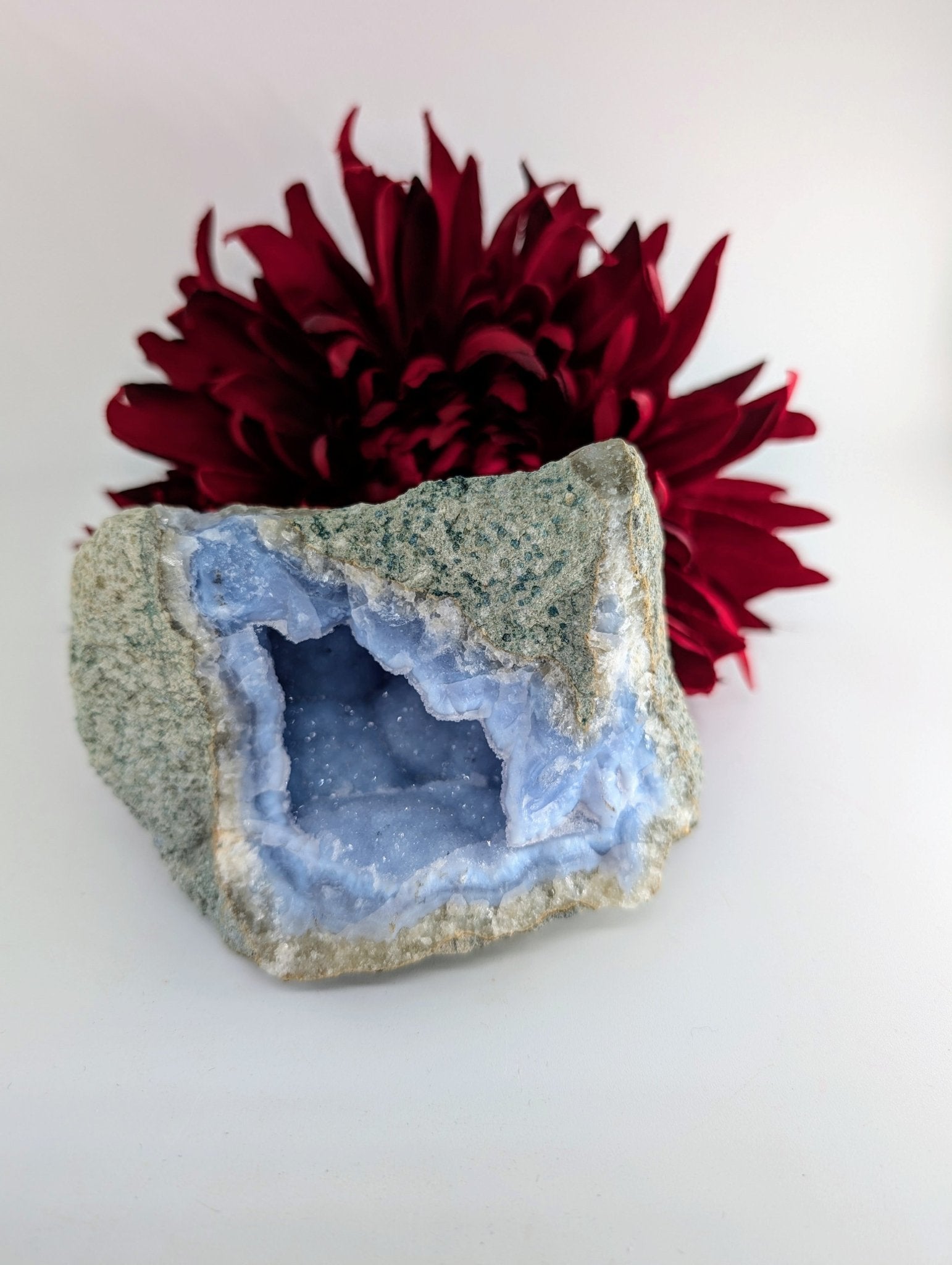 Natural Blue Lace Agate Geode Specimen 487g featuring pale blue banding and soft translucence - Luna Panther