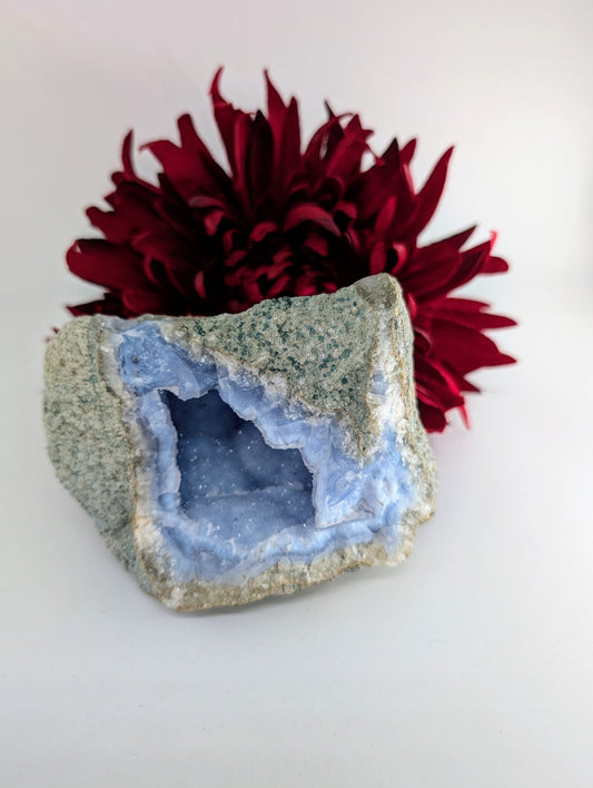 Natural Blue Lace Agate Geode Specimen 487g featuring pale blue banding and soft translucence - Luna Panther