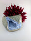 Natural Blue Lace Agate Geode Specimen 487g featuring pale blue banding and soft translucence - Luna Panther