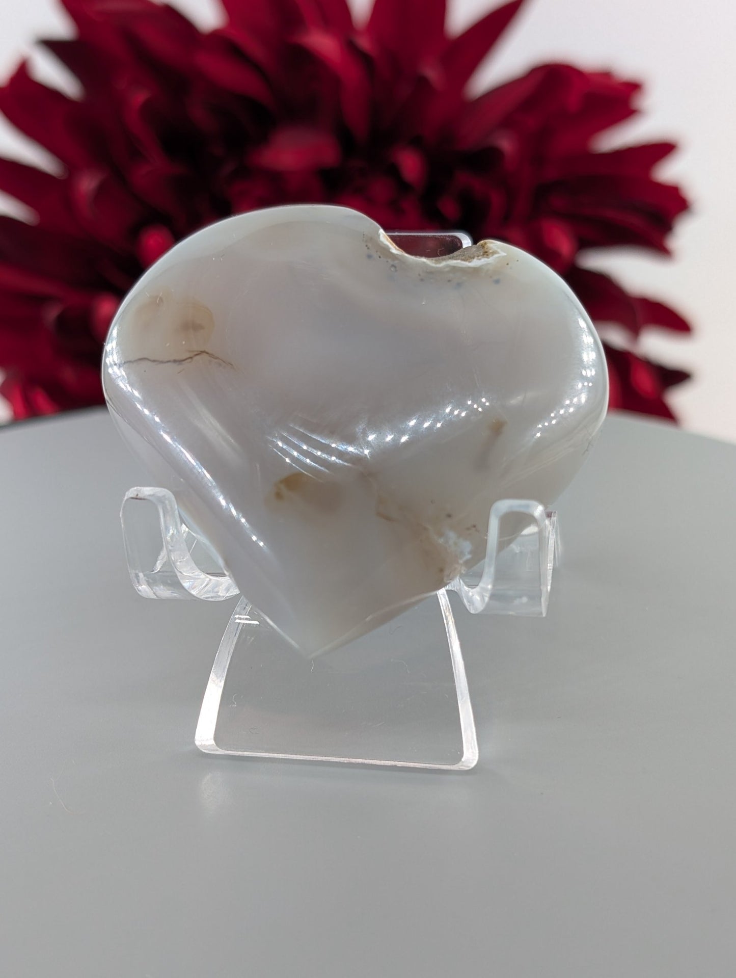 Polished Blue Lace Agate Heart Palm Stone 55mm featuring pale blue banding and soft translucence - Luna Panther