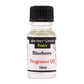 Blueberry Fragrance Oil 10ml - Luna Panther