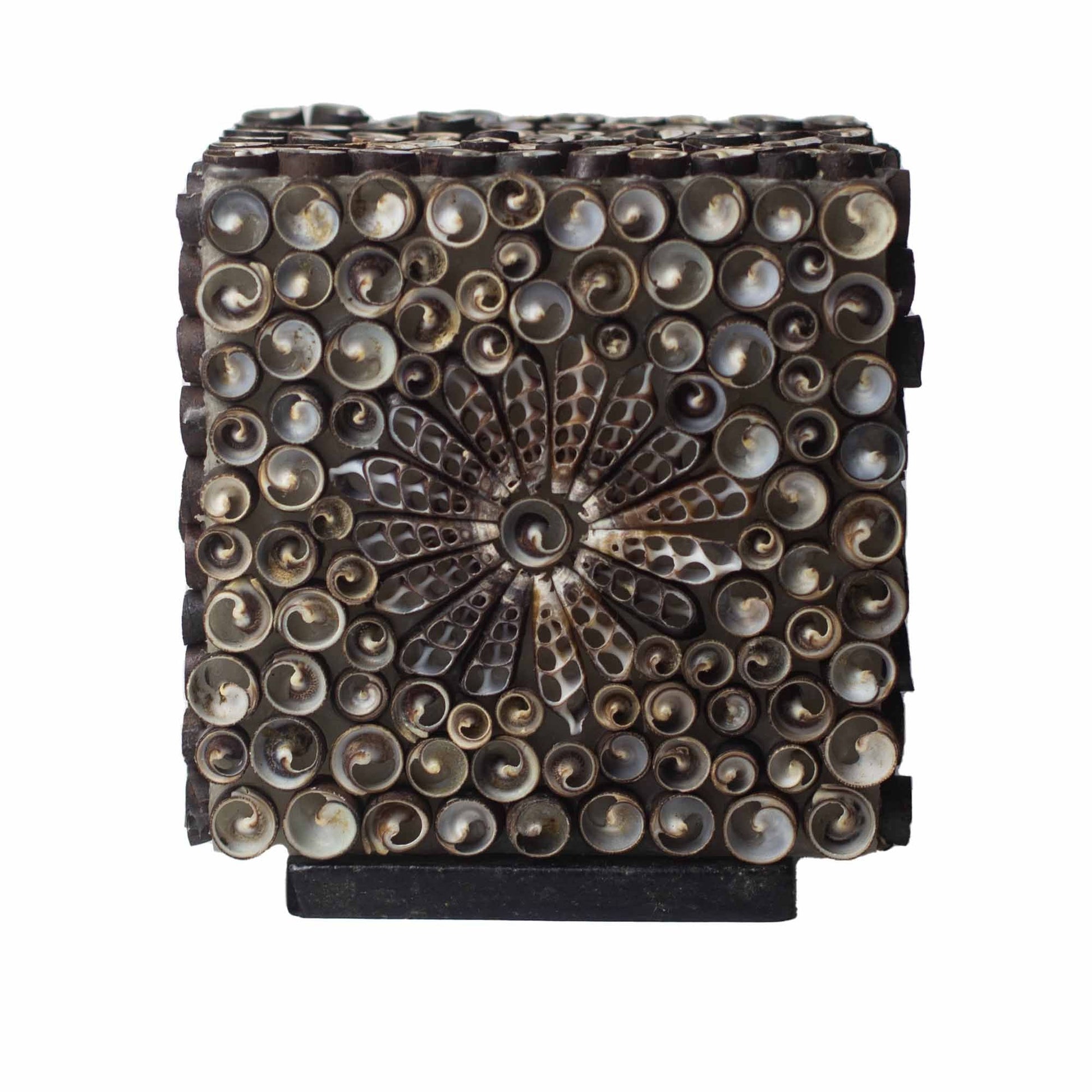 Boho Seashell Lamp - Chocolate Twist Square - 15cm - Luna Panther