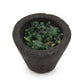Box of 12 Resin Cups - White Sage - Luna Panther
