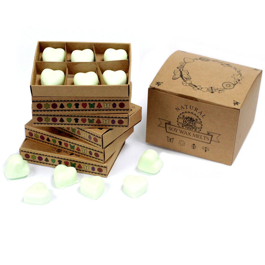 Box of 6 Wax Melts - Apple Spice - Luna Panther alternate view
