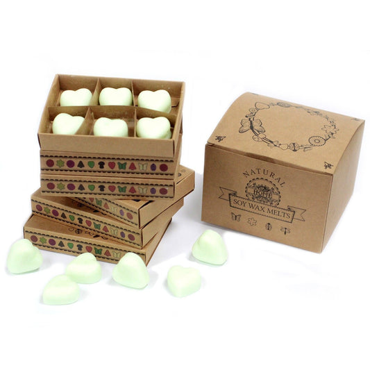 Box of 6 Wax Melts - Brandy Butter - Luna Panther alternate view