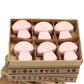 Box of 6 Wax Melts - Coffee Trader - Luna Panther