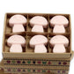 Box of 6 Wax Melts - Dark Sandalwood - Luna Panther