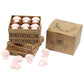 Box of 6 Wax Melts - Dark Sandalwood - Luna Panther