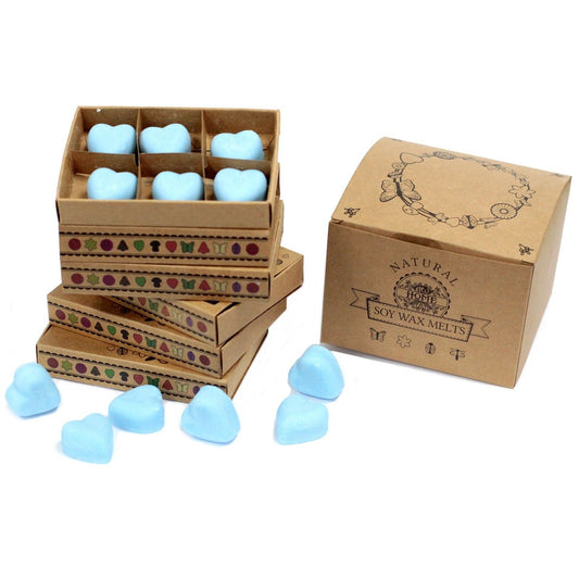 Box of 6 Wax Melts - Dewberry - Luna Panther alternate view
