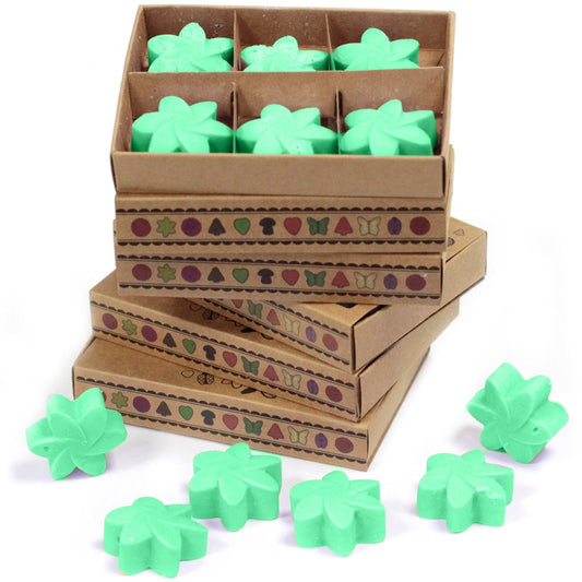 Box of 6 Wax Melts - Hidden Garden - Luna Panther alternate view