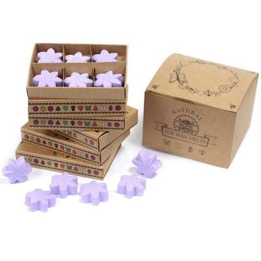 Box of 6 Wax Melts - Lavender Fields - Luna Panther