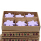 Box of 6 Wax Melts - Lavender Fields - Luna Panther