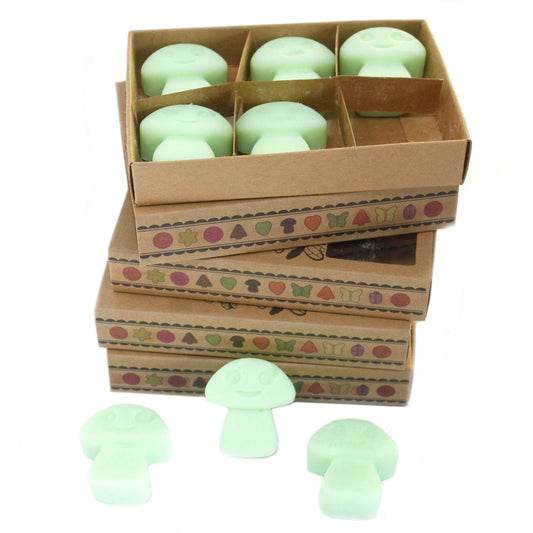 Box of 6 Wax Melts - Liquorice - Luna Panther alternate view