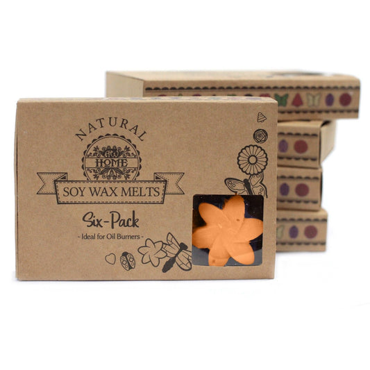 Box of 6 Wax Melts - Mango Fruits - Luna Panther alternate view