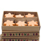 Box of 6 Wax Melts - Mango Fruits - Luna Panther