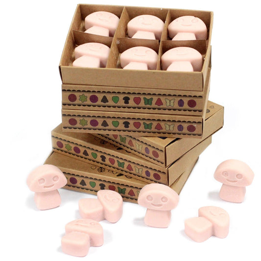 Box of 6 Wax Melts - Old Ginger - Luna Panther