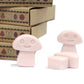 Box of 6 Wax Melts - Old Ginger - Luna Panther