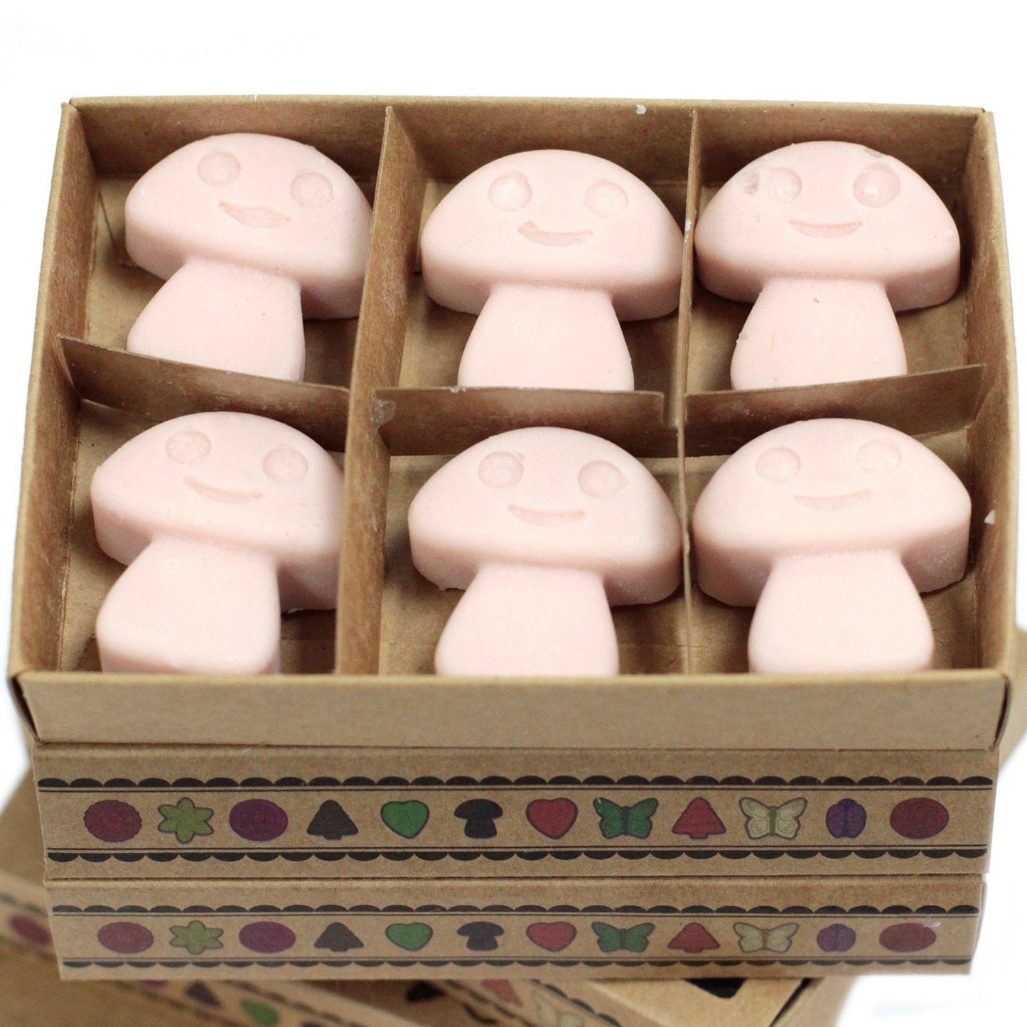 Box of 6 Wax Melts - Old Ginger - Luna Panther