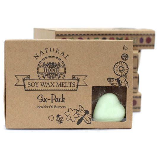 Box of 6 Wax Melts - Watermelon Fresh - Luna Panther