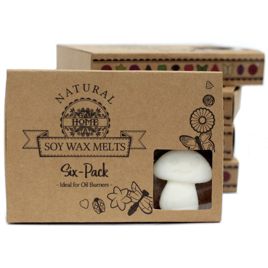 Box of 6 Wax Melts - White Musk - Luna Panther alternate view