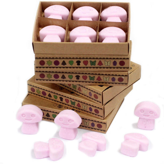Box of 6 Wax Melts - Ylang Ylang - Luna Panther
