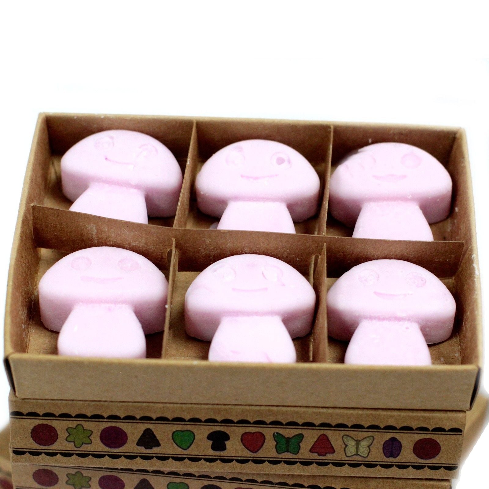 Box of 6 Wax Melts - Ylang Ylang - Luna Panther