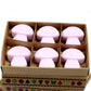 Box of 6 Wax Melts - Ylang Ylang - Luna Panther