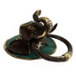 Brass Door Knocker - Elephants Head - Luna Panther
