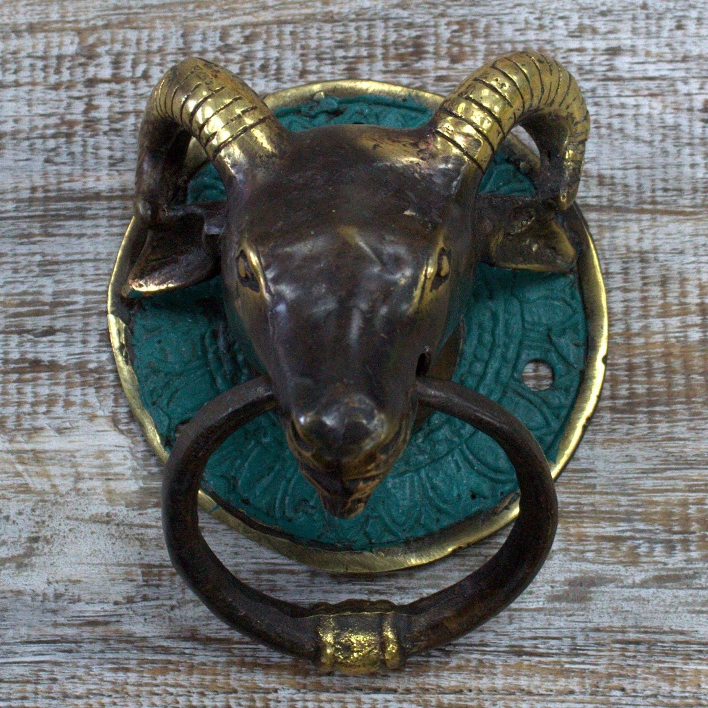 Brass Door Knocker - Rams Head - Luna Panther