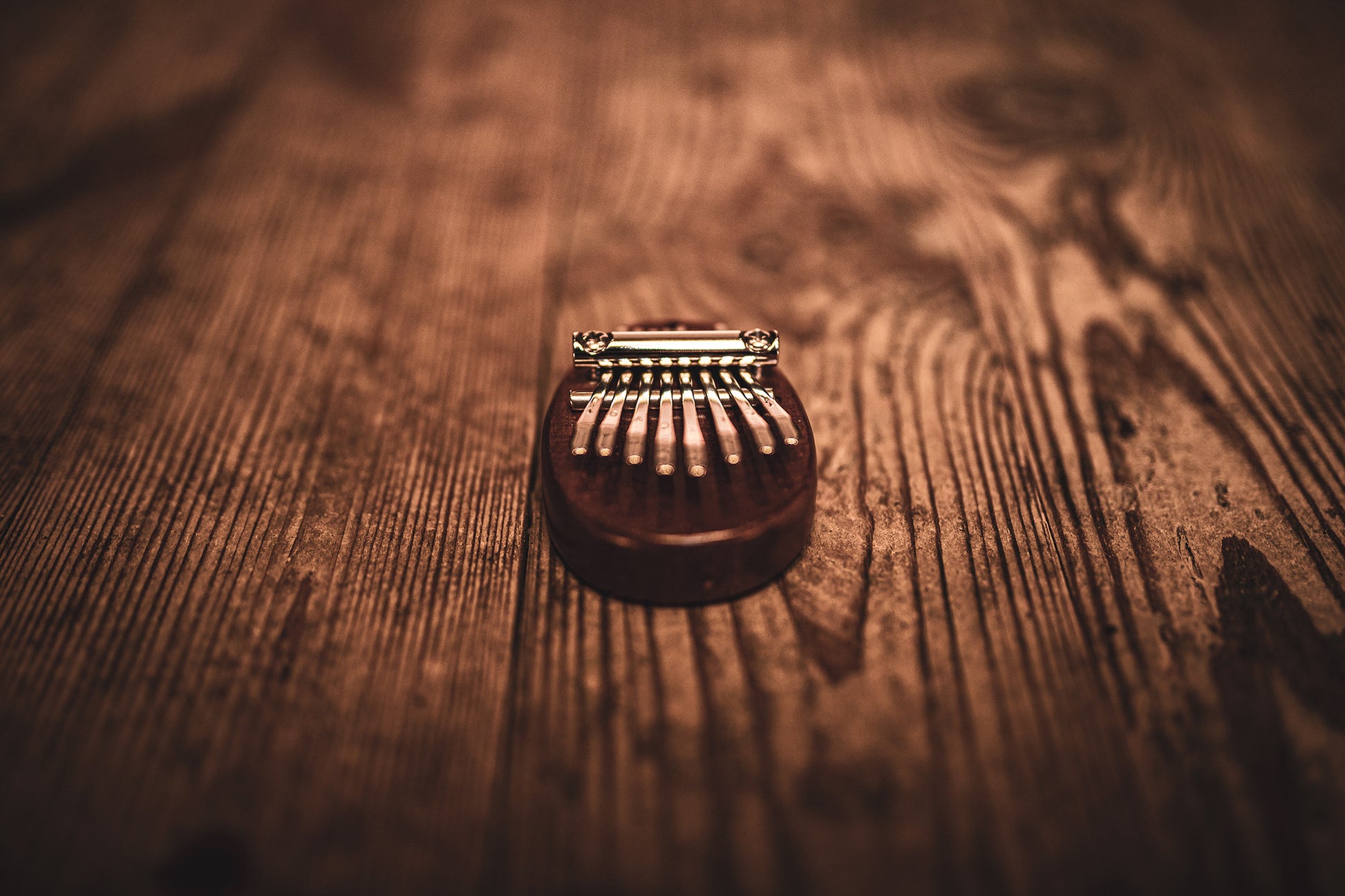 Meinl Sonic Energy Mini Kalimba - 8 notes, sapele detail view 6 at Luna Panther